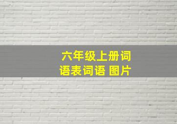 六年级上册词语表词语 图片